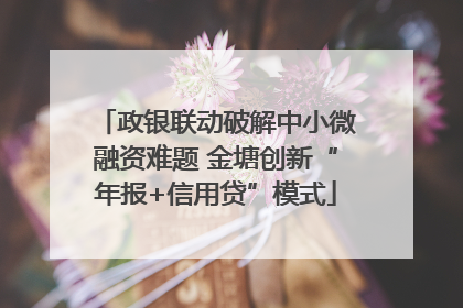 政银联动破解中小微融资难题 金塘创新“年报+信用贷”模式
