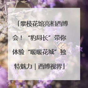 攀枝花馆亮相西博会！“豹局长”带你体验“暖暖花城”独特魅力｜西博视界