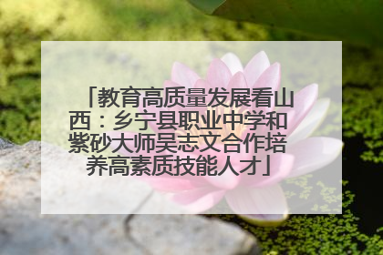 教育高质量发展看山西：乡宁县职业中学和紫砂大师吴志文合作培养高素质技能人才