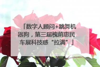 数字人顾问+跳舞机器狗，第三届槐荫惠民车展科技感“拉满”