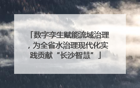 数字孪生赋能流域治理，为全省水治理现代化实践贡献“长沙智慧”