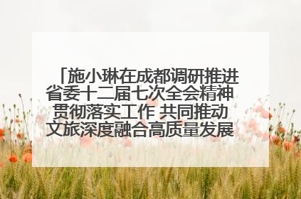 施小琳在成都调研推进省委十二届七次全会精神贯彻落实工作 共同推动文旅深度融合高质量发展 加快打造支柱产业民生产业幸福产业