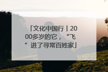 文化中国行丨2000多岁的它，“飞”进了寻常百姓家