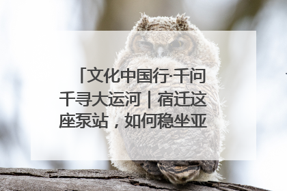 文化中国行·千问千寻大运河｜宿迁这座泵站，如何稳坐亚洲第一宝座？
