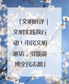 文明时评｜文明实践我行动！市民文明巡访，引领淄博全民志愿