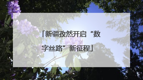 新疆孜然开启“数字丝路”新征程