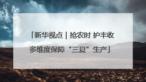 新华视点｜抢农时 护丰收 多维度保障“三夏”生产