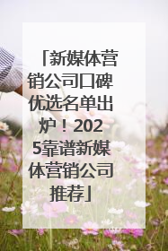 新媒体营销公司口碑优选名单出炉！2025靠谱新媒体营销公司推荐