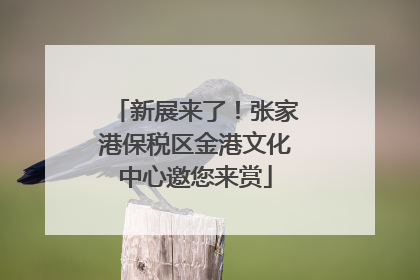 新展来了！张家港保税区金港文化中心邀您来赏