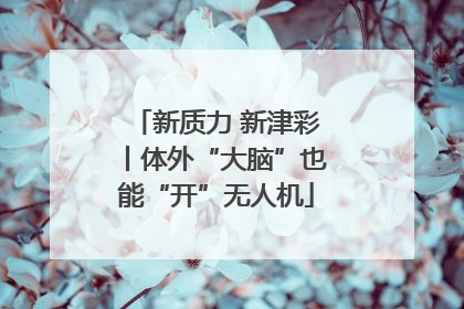 新质力 新津彩丨体外“大脑”也能“开”无人机
