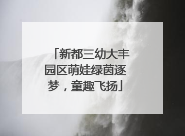 新都三幼大丰园区萌娃绿茵逐梦，童趣飞扬