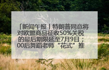 新闻午报丨特朗普同意将对欧盟商品征收50%关税的最后期限延至7月9日；00后舞蹈老师“花式”推介家乡岳阳>>