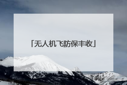 无人机飞防保丰收