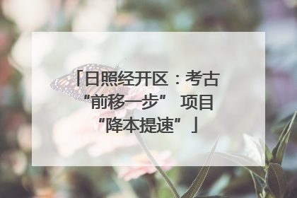日照经开区：考古“前移一步” 项目“降本提速”