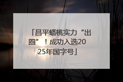 昌平蟠桃实力“出圈”！成功入选2025年国字号