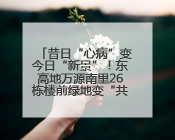昔日“心病”变今日“新景”！东高地万源南里26栋楼前绿地变“共享花园”