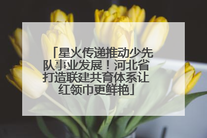 星火传递推动少先队事业发展！河北省打造联建共育体系让红领巾更鲜艳
