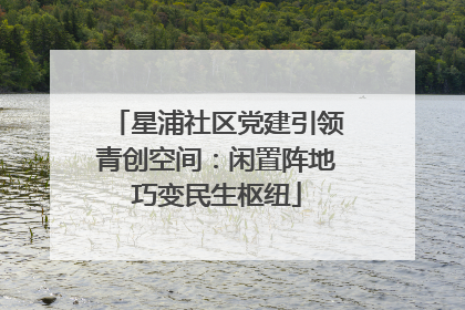 星浦社区党建引领青创空间：闲置阵地巧变民生枢纽