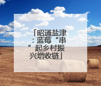 昭通盐津：蓝莓“串”起乡村振兴增收链