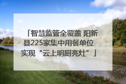 智慧监管全覆盖 阳新县225家集中用餐单位实现“云上明厨亮灶”