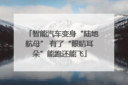 智能汽车变身“陆地航母” 有了“眼睛耳朵”能跑还能飞