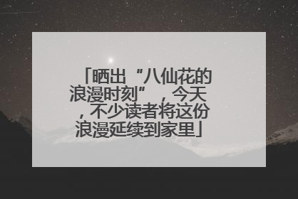 晒出“八仙花的浪漫时刻”，今天，不少读者将这份浪漫延续到家里