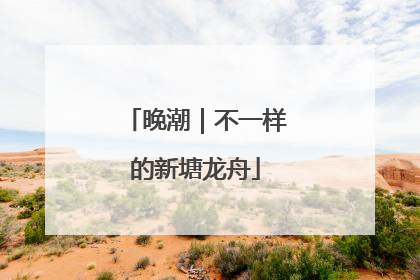 晚潮｜不一样的新塘龙舟