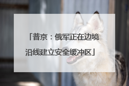 普京：俄军正在边境沿线建立安全缓冲区