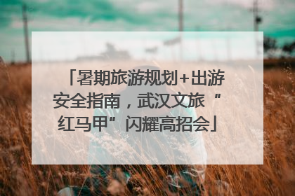 暑期旅游规划+出游安全指南，武汉文旅“红马甲”闪耀高招会