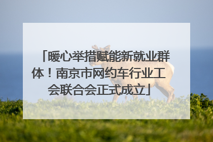 暖心举措赋能新就业群体！南京市网约车行业工会联合会正式成立