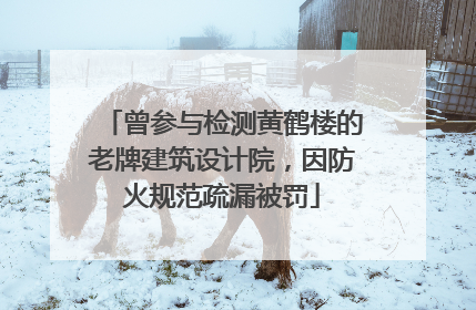 曾参与检测黄鹤楼的老牌建筑设计院，因防火规范疏漏被罚