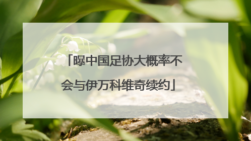 曝中国足协大概率不会与伊万科维奇续约