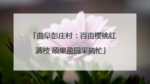 曲阜彭庄村：百亩樱桃红满枝 硕果盈园采摘忙