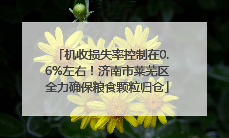 机收损失率控制在0.6%左右！济南市莱芜区全力确保粮食颗粒归仓
