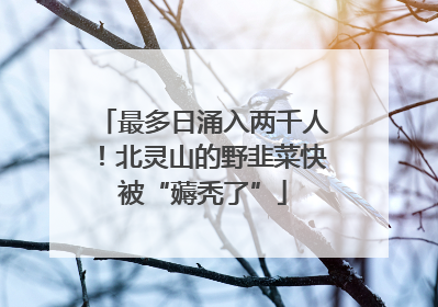 最多日涌入两千人！北灵山的野韭菜快被“薅秃了”