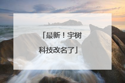 最新！宇树科技改名了
