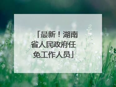 最新！湖南省人民政府任免工作人员