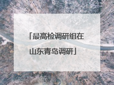 最高检调研组在山东青岛调研