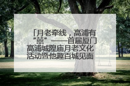 月老牵线，高浦有“囍”——首届厦门高浦城隍庙月老文化活动暨他趣百城见面会隆重举办