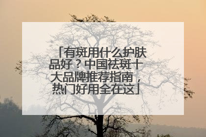 有斑用什么护肤品好？中国祛斑十大品牌推荐指南，热门好用全在这