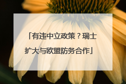 有违中立政策？瑞士扩大与欧盟防务合作