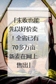 未收也能先以好价卖！全省已有70多万亩新麦在网上售出