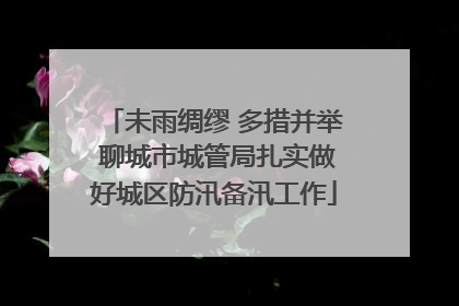 未雨绸缪 多措并举 聊城市城管局扎实做好城区防汛备汛工作