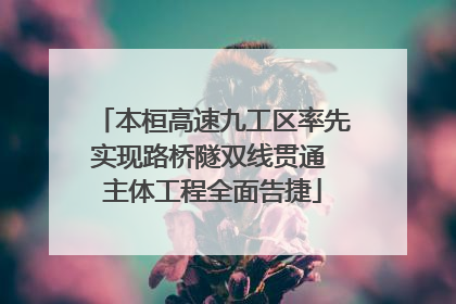 本桓高速九工区率先实现路桥隧双线贯通 主体工程全面告捷