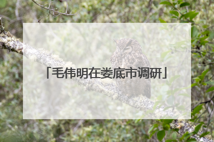 毛伟明在娄底市调研