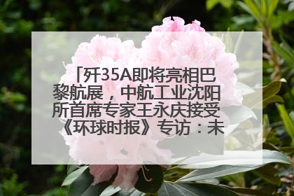歼35A即将亮相巴黎航展，中航工业沈阳所首席专家王永庆接受《环球时报》专访：未来数量可以有很多
