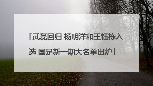 武磊回归 杨明洋和王钰栋入选 国足新一期大名单出炉