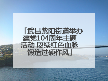 武昌紫阳街道举办建党104周年主题活动 赓续红色血脉锻造过硬作风
