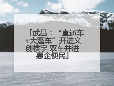 武昌：“直通车+大篷车”开进文创楼宇 双车并进惠企便民
