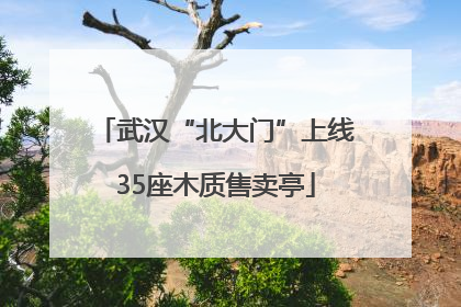 武汉“北大门”上线35座木质售卖亭